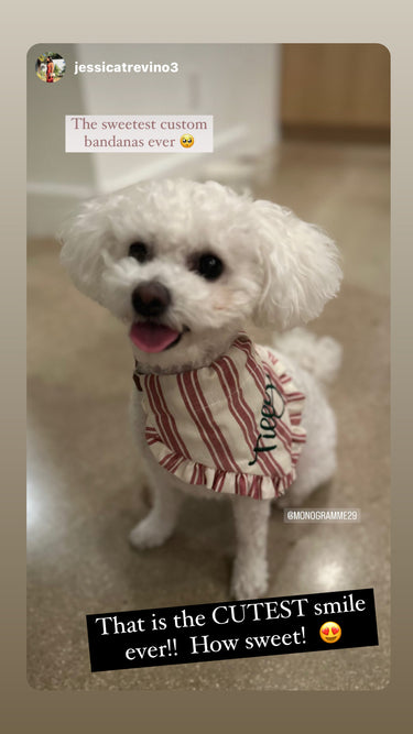 Red & Black Buffalo Check Dog Bandana - Christmas Collection
