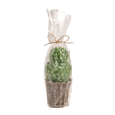 Topiary Candles (assorted styles)