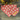 Fresh Fall Flowers Fall Dog Bandana