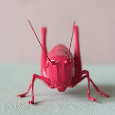 Fuchsia Resin Cricket