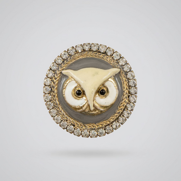 A hand holding a round owl face brooch with a gold-tone and cream enamel design, surrounded by a border of small clear rhinestones.