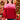 Sarah Jolly Sweatshirt