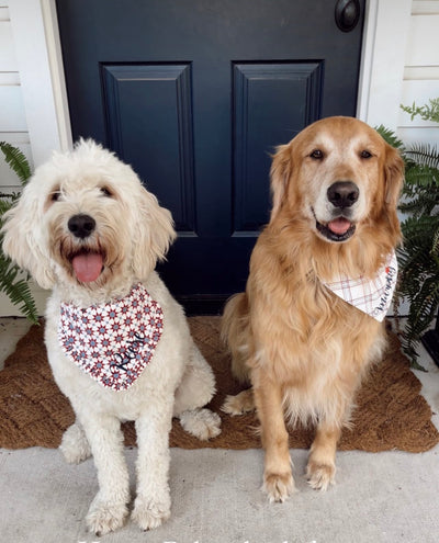 Pop some FIREWORKS!  Our 2023 Summer Dog Bandanas are here!