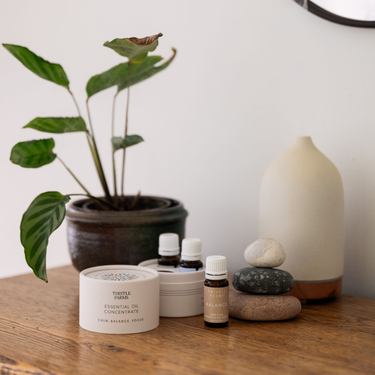 Essential Oil Aromatherapy Set | Calm, Balance, Focus