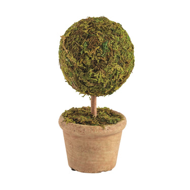 Mini Moss Topiaries (assorted styles)