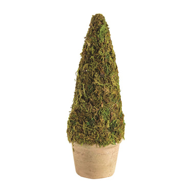 Mini Moss Topiaries (assorted styles)