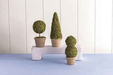 Mini Moss Topiaries (assorted styles)