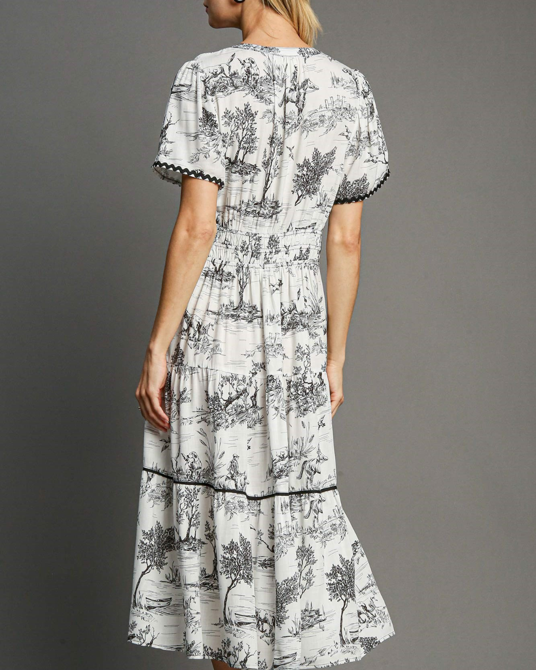 Anaya Toile Landscape Maxi Dress