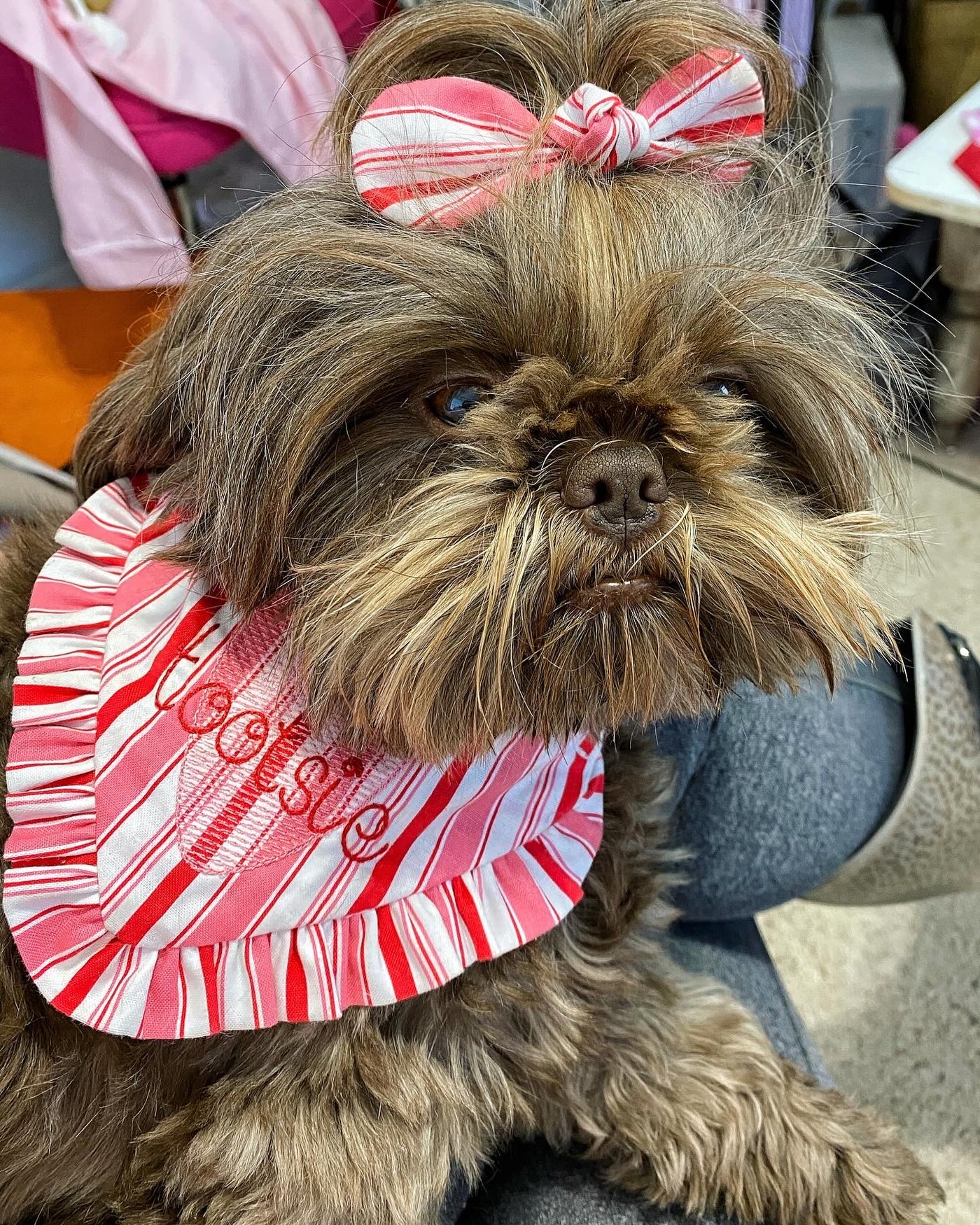 Whispy Floral Fall Dog Bandana