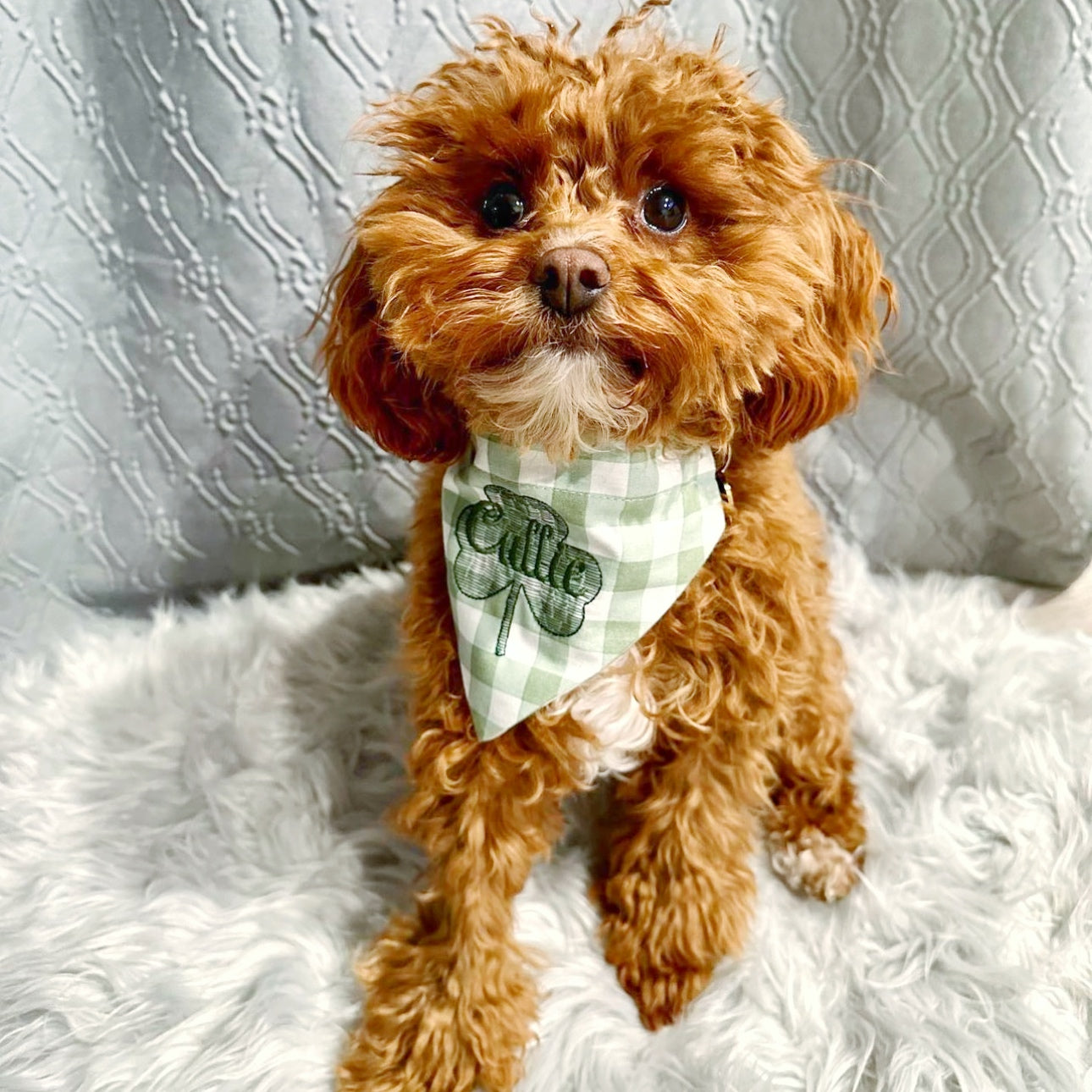 Spring Green Gingham Dog Bandana