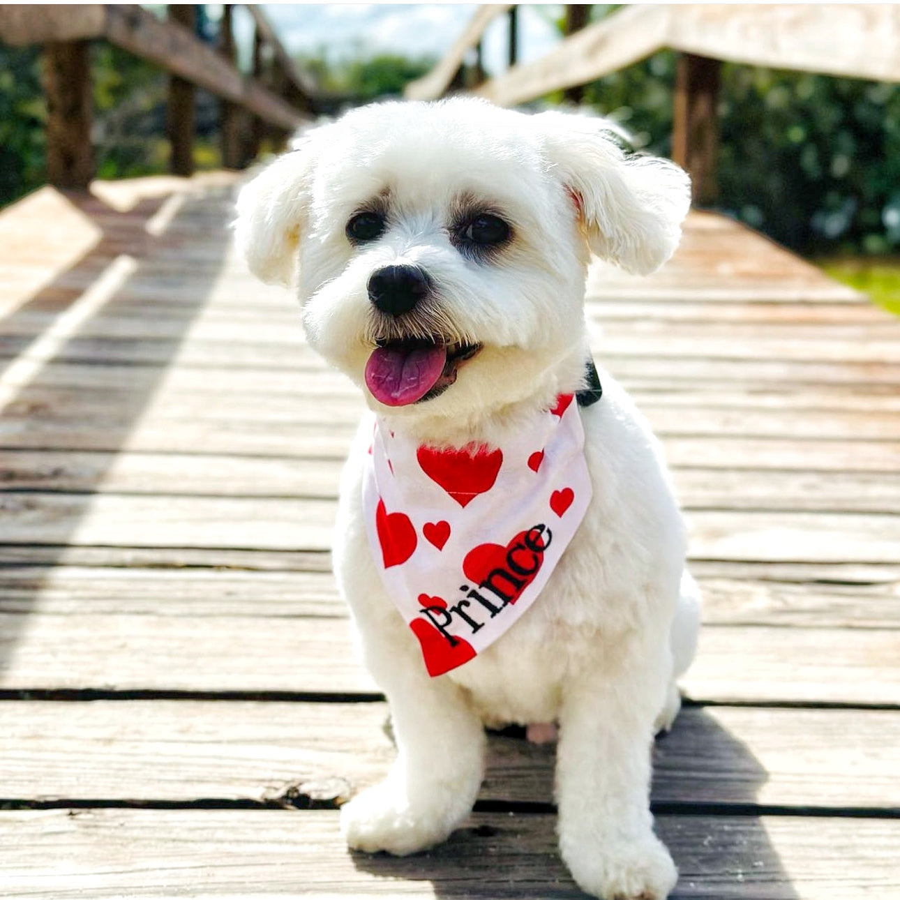 Sweetheart Stripe Dog Bandana