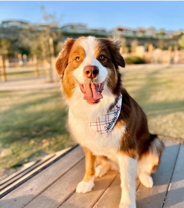 Patriotic Plaid Dog Bandana