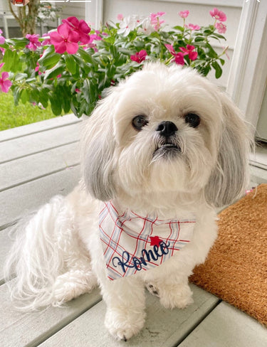 Patriotic Plaid Dog Bandana
