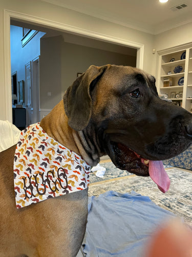 Yellow Peep Plaid Dog Bandana