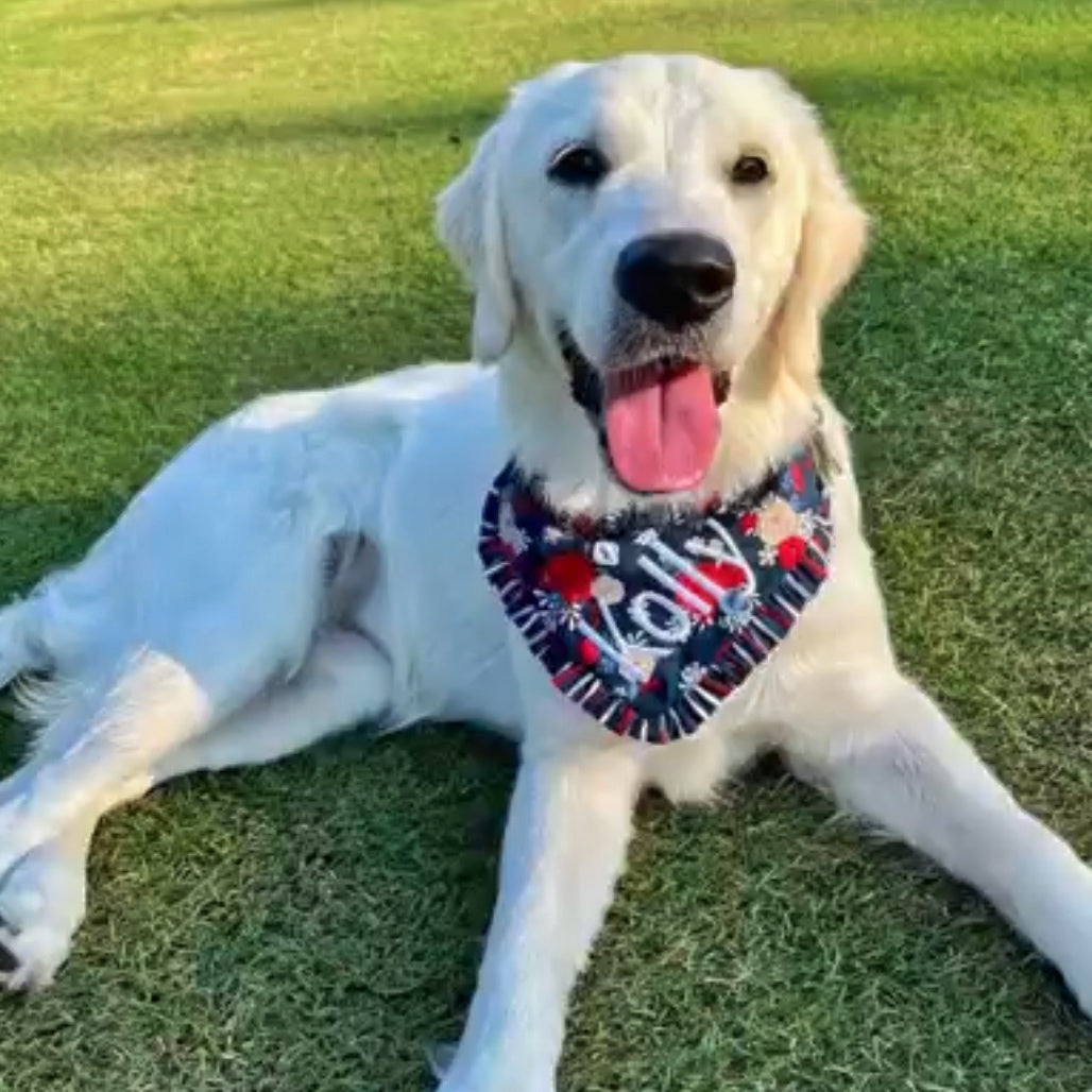 Bountiful Blooms Summer Dog Bandana