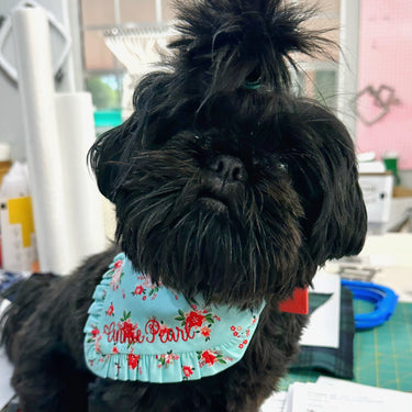 Christmas Poinsettia Dog Bandana - Christmas Collection