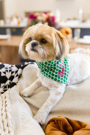 Liberty  Floral Off White Dog Bandana