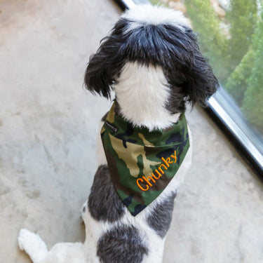 Spring Blue/Green Plaid Dog Bandana