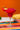 Strawberry Margarita Cocktail Slush Mix by D'Marie