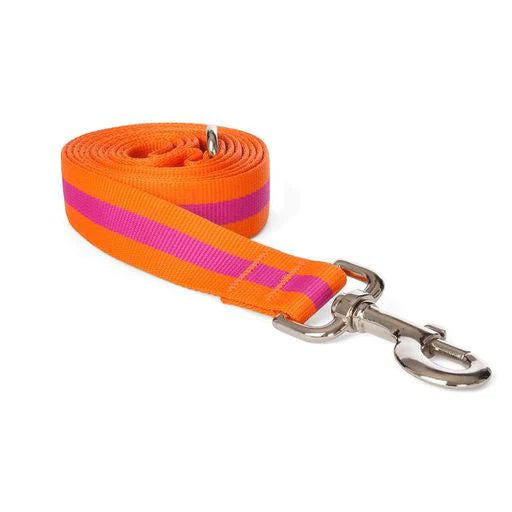Orange & Pink Dog Leash
