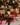 Christmas Spinning Carousel by Glasshouse