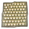 Large bandana scarf  with a pattern of years and national park depictions on a white background