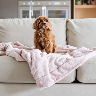 Saranoni Pet Blanket