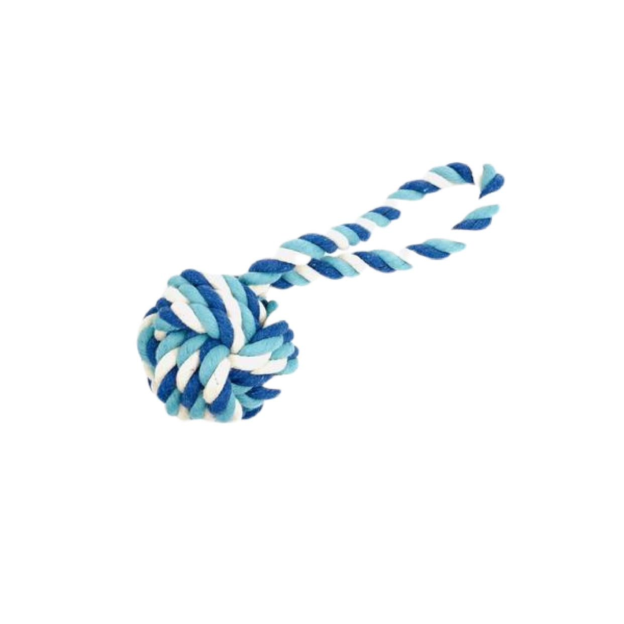 Multi-Aqua Cotton Rope Tug- Medium