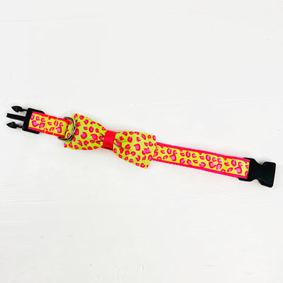 Lime Green and Hot Pink Leopard Dog Leash