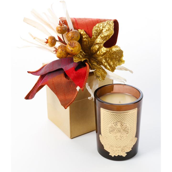 Lux (8oz) Fall Gift Box Candle- Apple Jack