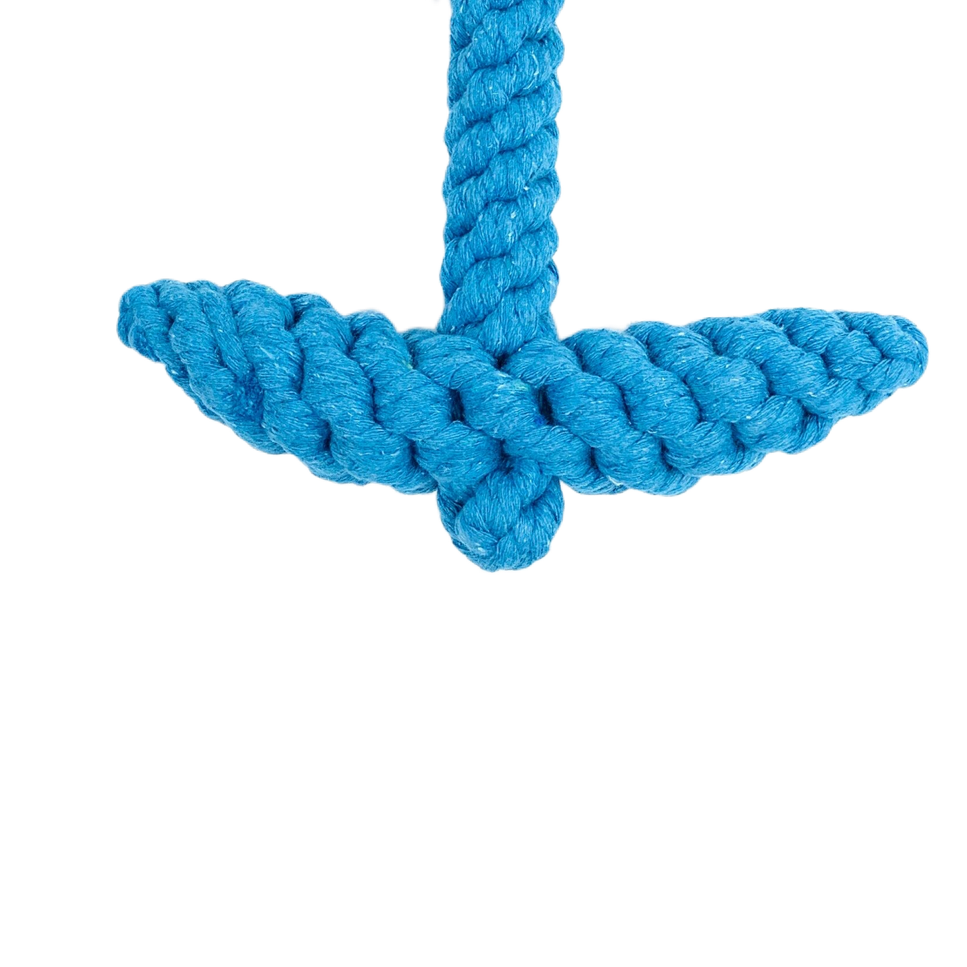 Blue Rope Toy Anchor